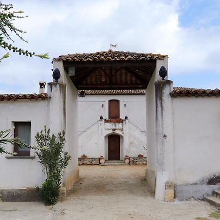 B&B Vaiana Maida Bagian luar foto