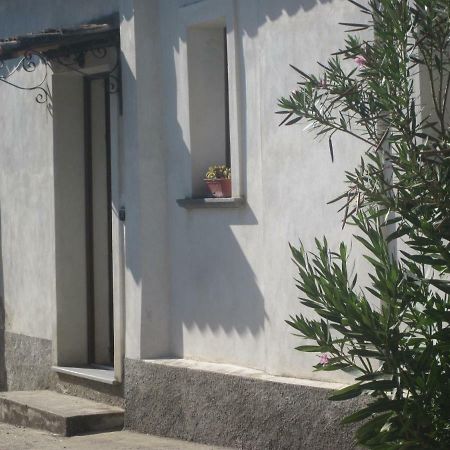 B&B Vaiana Maida Ruang foto
