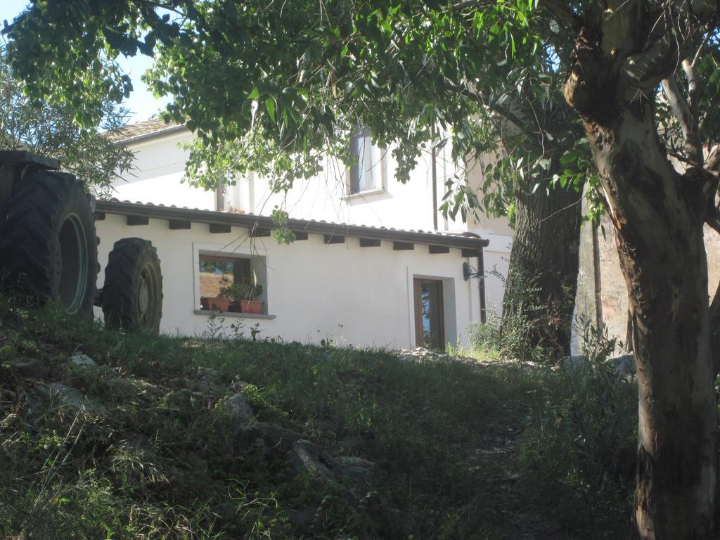 B&B Vaiana Maida Bagian luar foto