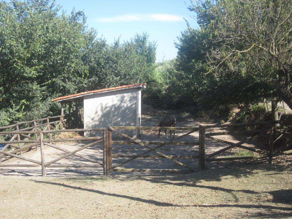 B&B Vaiana Maida Bagian luar foto
