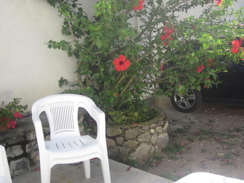 B&B Vaiana Maida Bagian luar foto