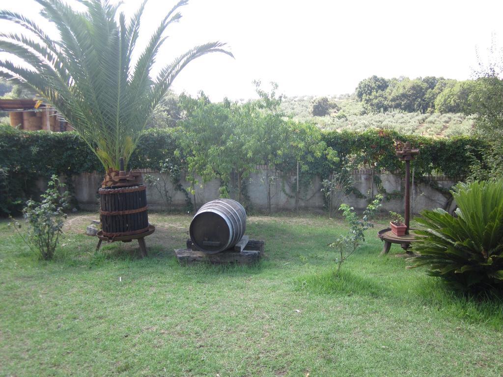 B&B Vaiana Maida Bagian luar foto