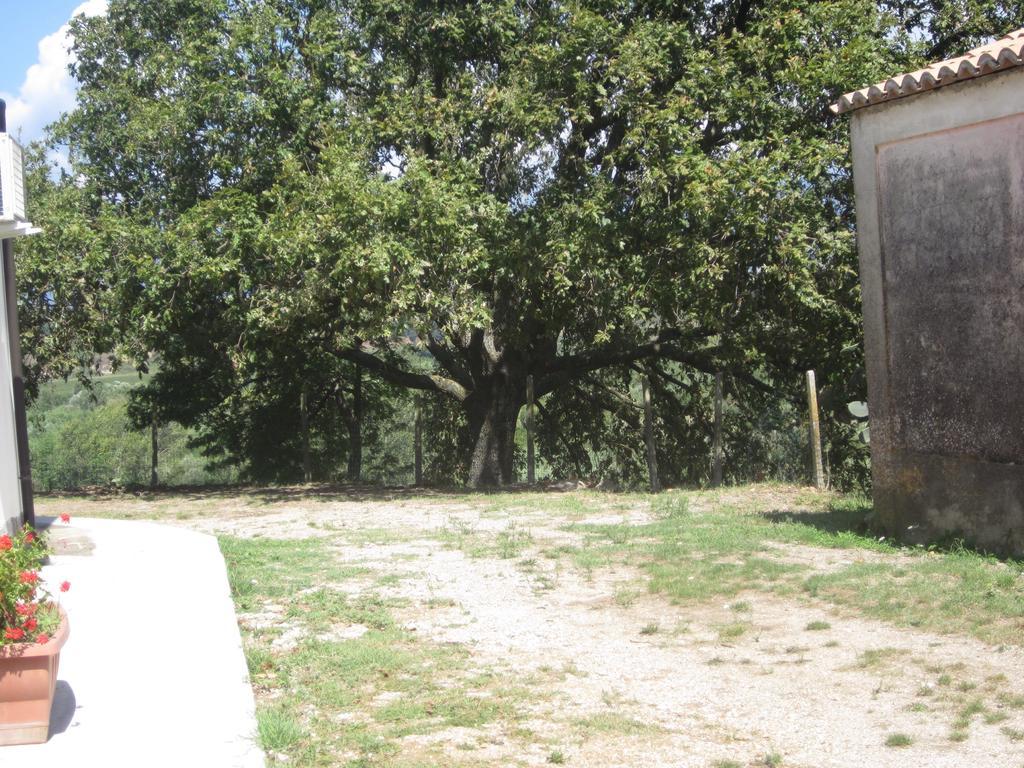 B&B Vaiana Maida Bagian luar foto