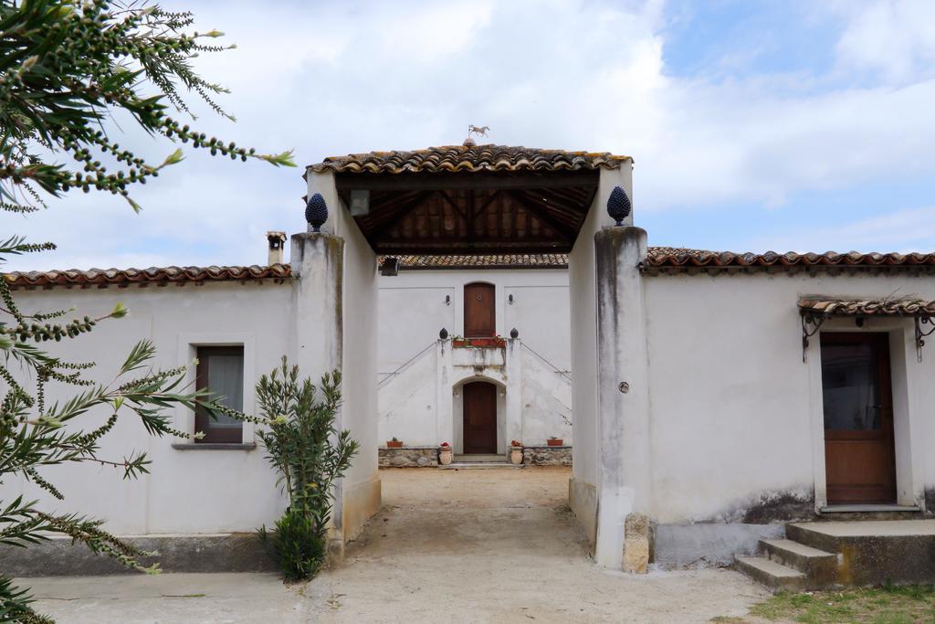 B&B Vaiana Maida Bagian luar foto