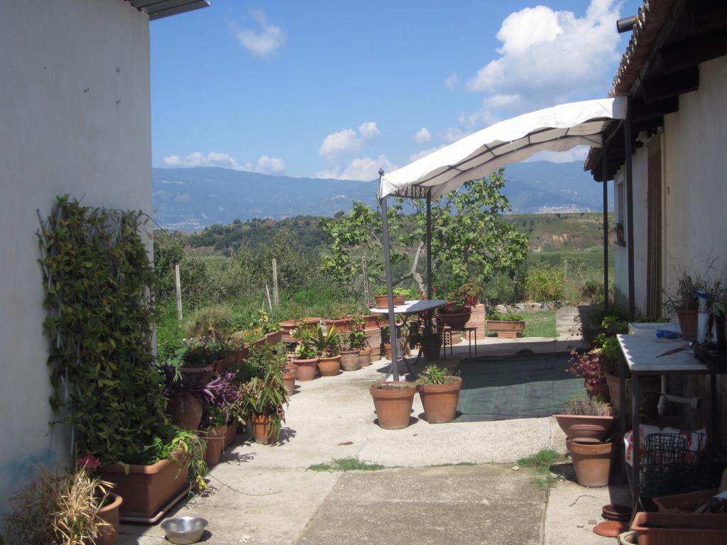 B&B Vaiana Maida Bagian luar foto