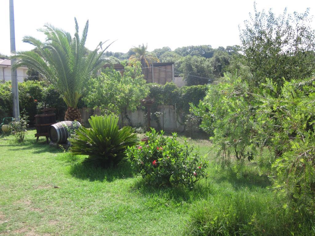 B&B Vaiana Maida Bagian luar foto