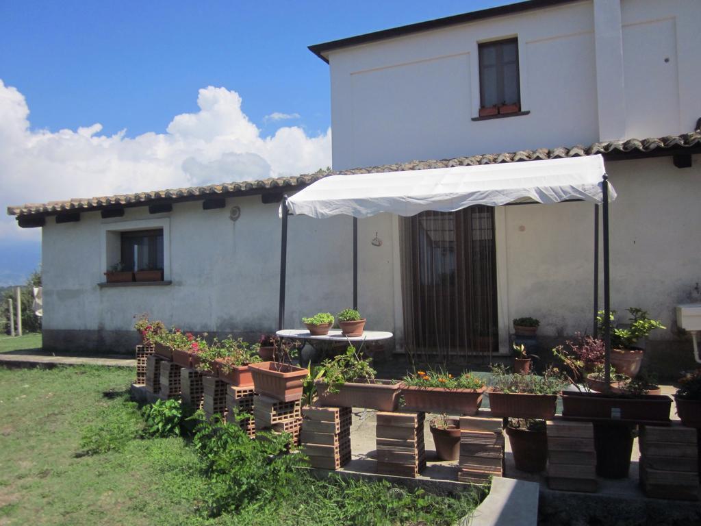 B&B Vaiana Maida Bagian luar foto
