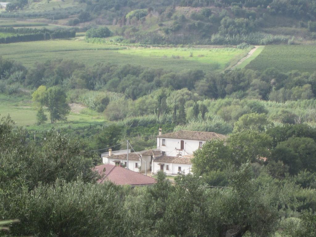 B&B Vaiana Maida Bagian luar foto